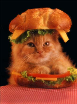 kittyburger2.jpg
